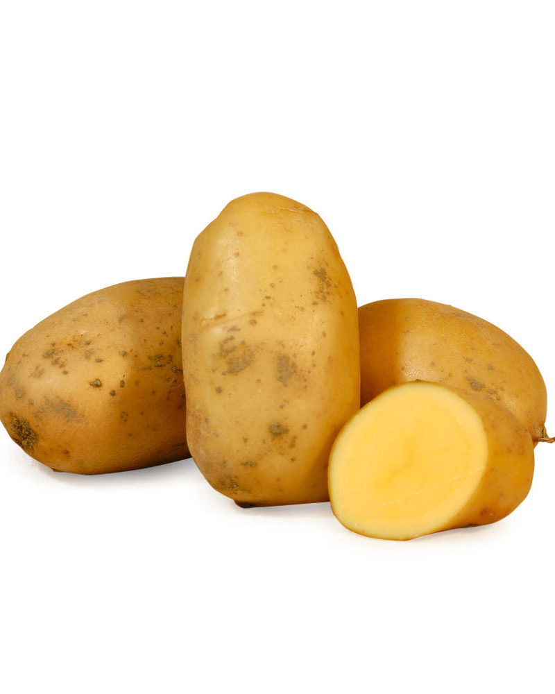 Patate gialle BIO di Montagna
