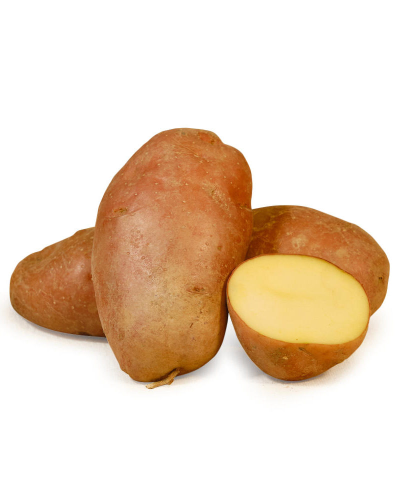 Patate rosse BIO di Montagna